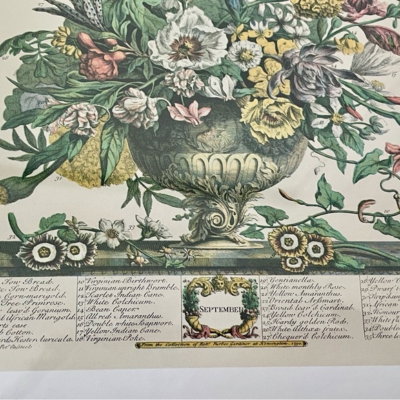 2 Framed Matted Vintage Floral Flower Botanical Bouquet Prints Litho Robert Furb - Picture 5 of 14